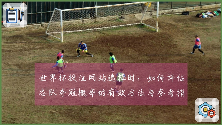 世界杯投注网站选择时,如何评估各队夺冠概率的有效方法与参考指标