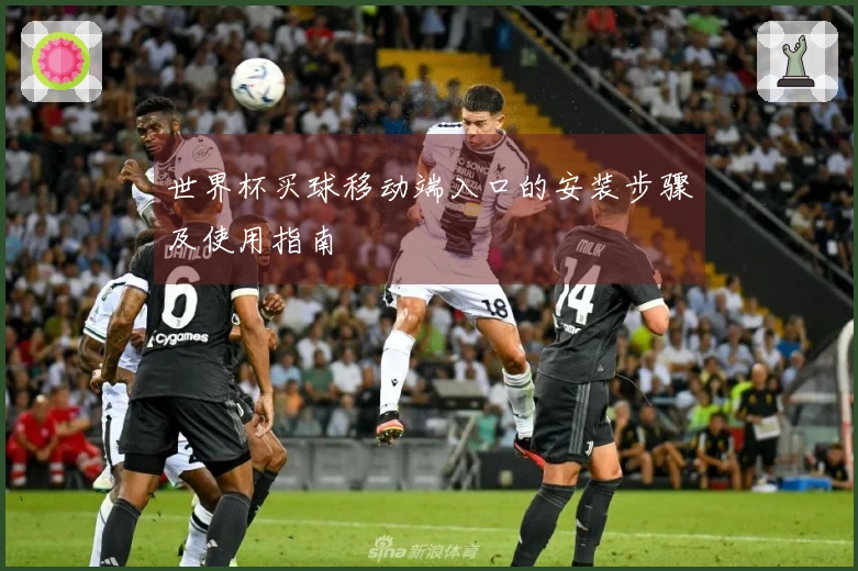 世界杯买球移动端入口的安装步骤及使用指南