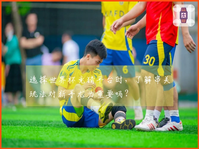 选择世界杯竞猜平台时，了解串关玩法对新手尤为重要吗？