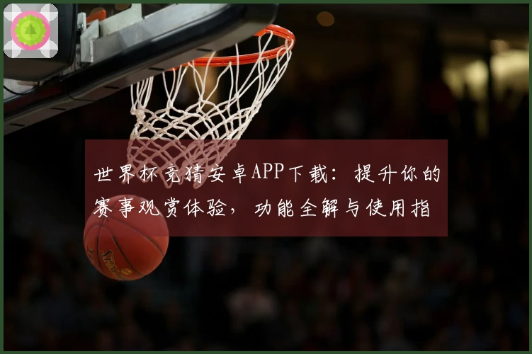 世界杯竞猜安卓APP下载：提升你的赛事观赏体验，功能全解与使用指南