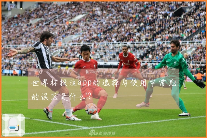 世界杯投注app的选择与使用中常见的误区是什么？