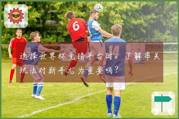 选择世界杯竞猜平台时，了解串关玩法对新手尤为重要吗？