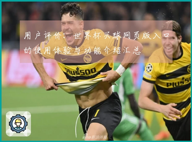 用户评价：世界杯买球网页版入口的使用体验与功能介绍汇总