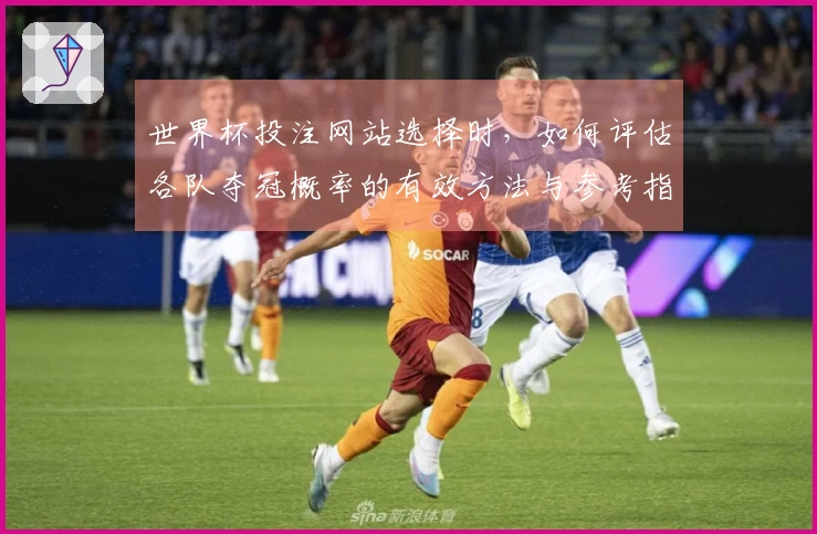 世界杯投注网站选择时，如何评估各队夺冠概率的有效方法与参考指标