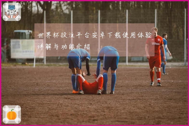 世界杯投注平台安卓下载使用体验详解与功能介绍
