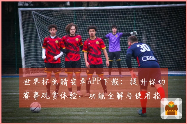世界杯竞猜安卓APP下载：提升你的赛事观赏体验，功能全解与使用指南